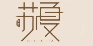 深圳市苏夏服饰有限公司