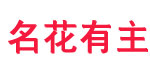 名花有主(minghuayouzhui)