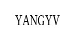 扬羽(YANGYV)