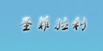 上海圣菲拉利服饰有限公司