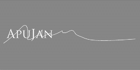 Apu Jan