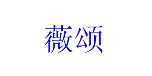 广州市薇颂服饰有限公司