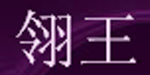 四川翎王服饰有限公司