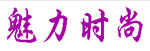 广州魅力时尚服饰有限公司 广州魅力时尚服饰有限公司