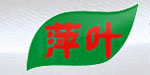 杭州萍叶国际精品女装连锁机构