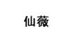 缤蔓(BINMAN)