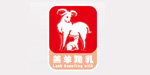 杭州青豆服饰有限公司