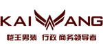 恺王科技(北京)有限公司