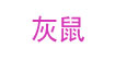 灰鼠