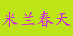 深圳米兰春天服饰有限公司