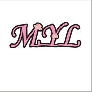 美伊来美公司 美伊来美公司