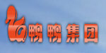 江西共青鸭鸭（集团）有限公司
