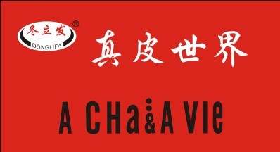 法国爱莎爱葳服饰集团有限公司