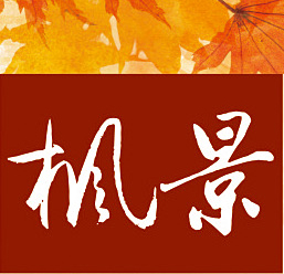 广州枫景服装有限公司