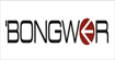 波特邦威(bongwer)