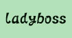 蕾蒂宝思(ladyboss)