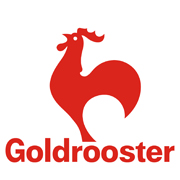 金鸡(goldrooster)