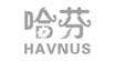 HAVNUS哈芬、贝嘉伊