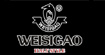 维思高(weisigao)