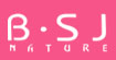 B.SJ