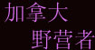 加拿大野营者(canadian camper)
