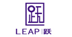 跃(leap)