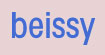 厦门贝琪服饰有限公司(beissy)