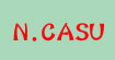 尼卡苏(N.CASU)