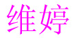 维婷