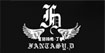 范特希.丁