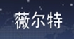 薇尔特(velvet)
