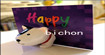 快乐比熊(happy bichon)