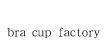 专业提供文胸、模杯、女性内衣裤加工(bra cup factory)