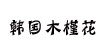 韩国木槿花