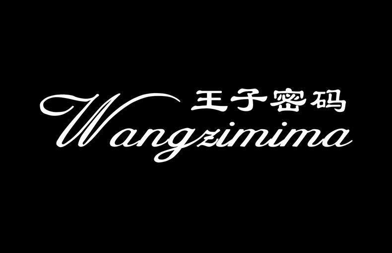 王子密码(wangzimima)