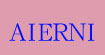 宁波爱尔妮集团有限公司(AIERNI)