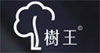树王(treespirit)