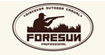 foresun弗邦行(foresun)