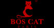 法国波士猫(BOS CAT)