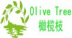 橄榄枝(Olive Tree)