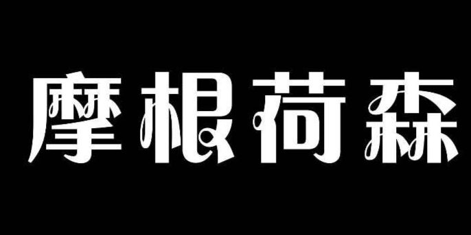 成都霍恩森实业有限公司