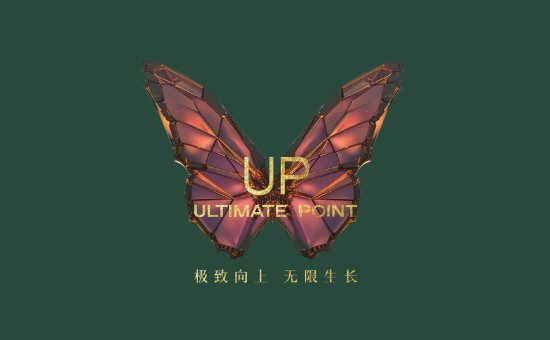 极致.UP