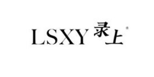 深圳市录上服饰有限公司