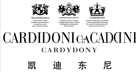 广州市辉彩贸易有限公司