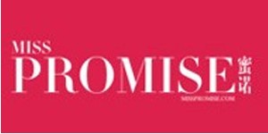 深圳市申投投资有限公司