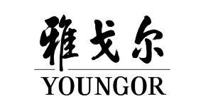 重庆雅戈尔服饰有限公司