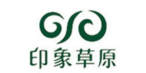 广东印象派服装有限公司