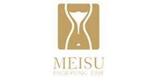 广东美速健康科技有限公司