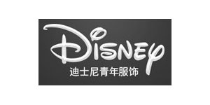 上海奔彩电子科技有限公司