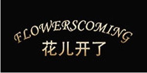 深圳市花儿开了服饰有限公司